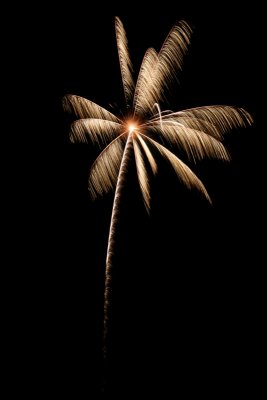 IMG_5078.jpg