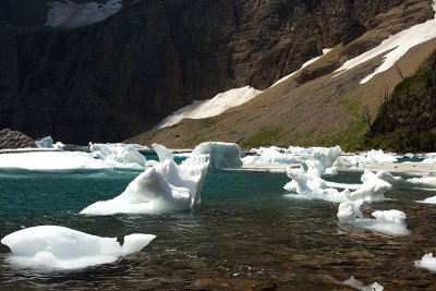 2009-8-8 1276 Iceberg Lake - M.jpg