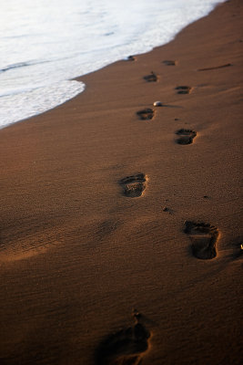 2010-3-23 - 2631 Beach Footprints - M.jpg