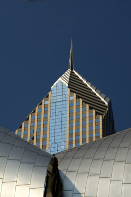 IMG_4489.jpg