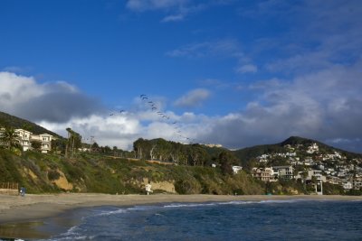 IMG_6185a.jpg