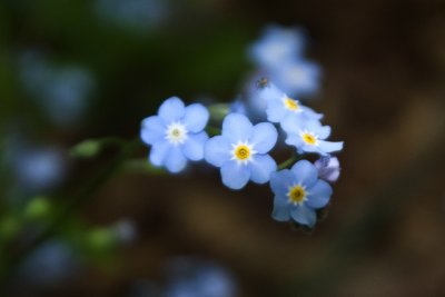 IMG_4516.jpg