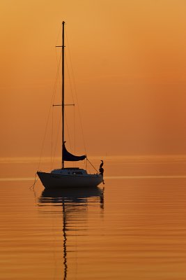 IMG_6276.jpg