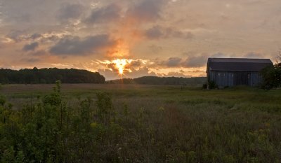 IMG_6385.jpg