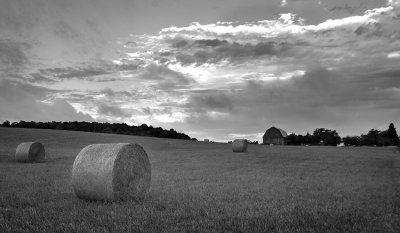 IMG_6395bw.jpg