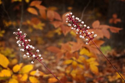 IMG_7710.jpg