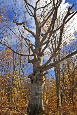 IMG_7776.jpg