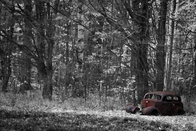 IMG_7830bw.jpg