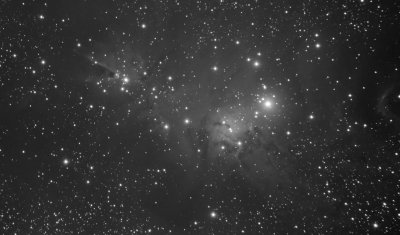 NGC2264  - Christmas Tree Cluster - Cone Nebula