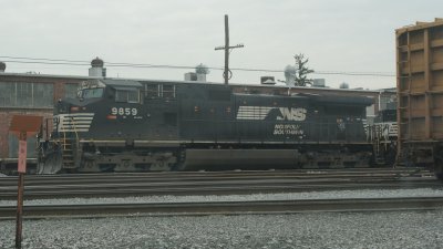 NS 9859.JPG