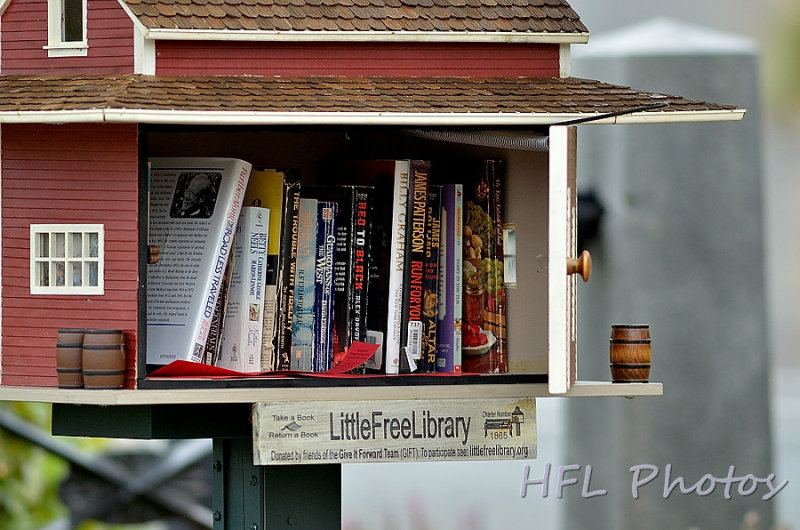 Day 15 - Trailside Free Library - Contents