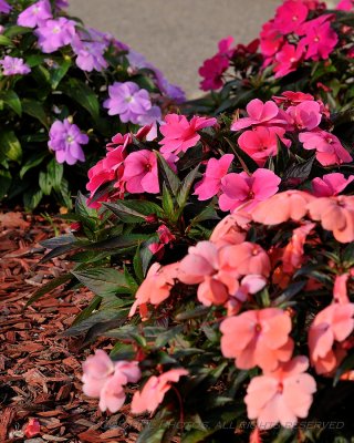 g1/39/763839/3/103947301.YvGqKLdb.jpg