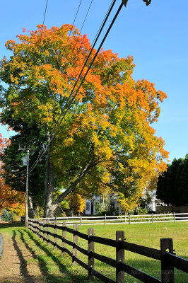 Disappearing Point approach to Center Hall Colonial