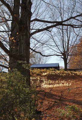 Farm backlight