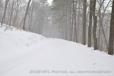 New England Snowstorm #8