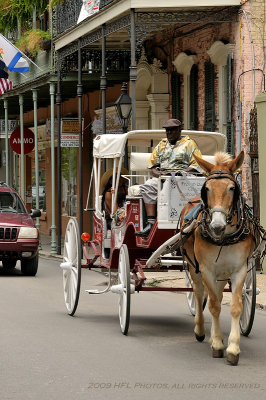 New Orleans Trip 20090604_372 .JPG