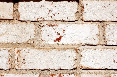 Three Standard Zooms - Brick Wall Test