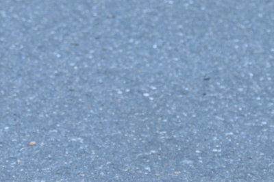 g1/39/763839/3/126639702.RKF2RQXn.jpg