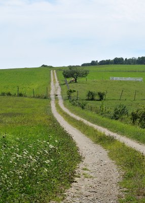 Shelburne Center Farm