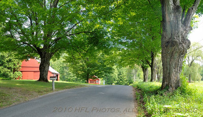 Farm 20100818_08 Shelburne Center.JPG