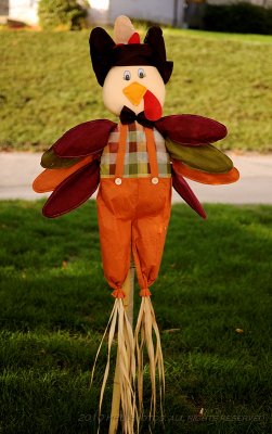 D50 35mm 20101011_160 Scarecrows.JPG