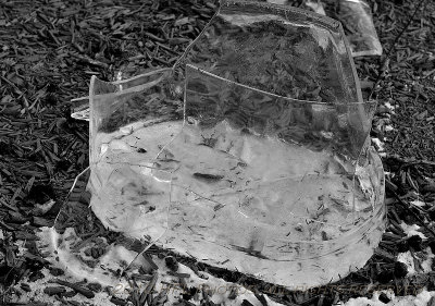 DAY 4 - THE PAIL, SHATTERED BUT REMEMBERED IN ICE