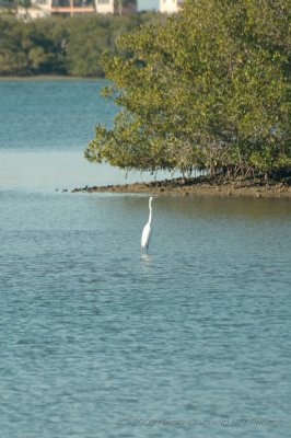 g1/39/763839/3/94194747.qUAPOlAn.jpg