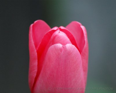 g1/39/763839/3/97138401.2c2YsY64.jpg