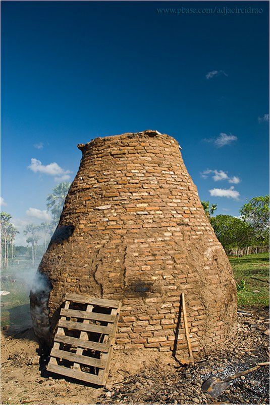 Bacurau
