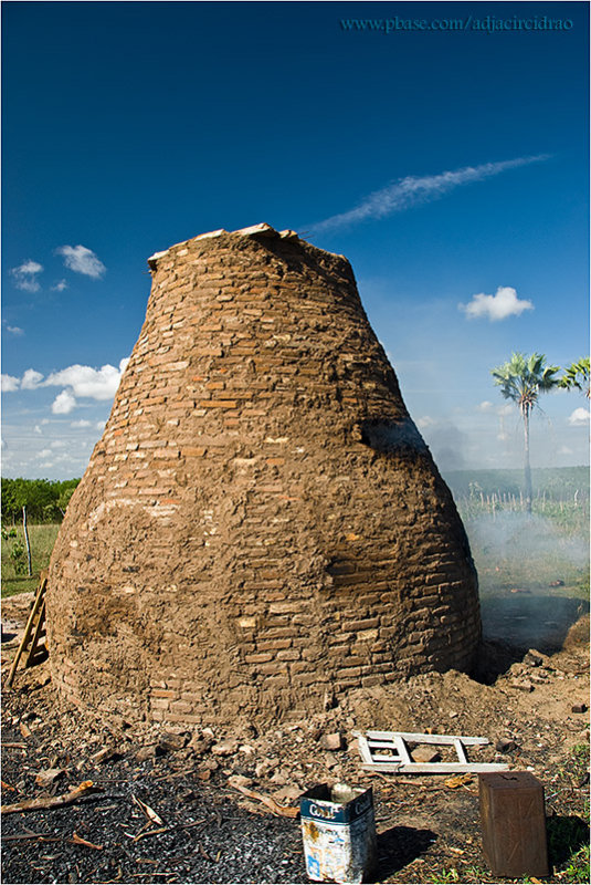 Bacurau