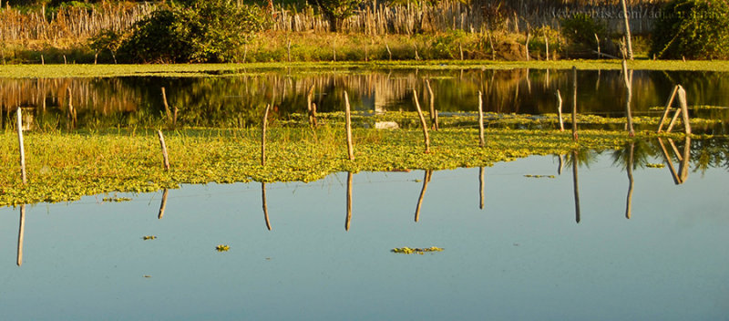 Reflexo da cerca
