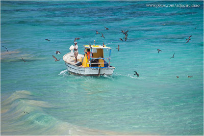 Barco de Pesca e Pssaros