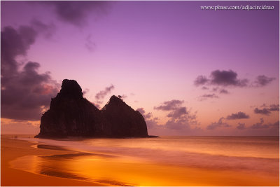 Purple Gold Sunset (Gold-N-Blue)