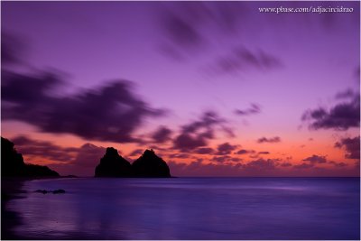 Violeta Purple Sunset (Gold-N-Blue), Dois Irmos