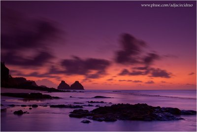 Purple Sunset (Gold-N-Blue) - Dois Irmos