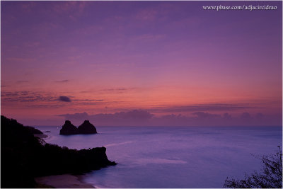 Violeta Purple Sunset (Gold-N-Blue) - Dois Irmos