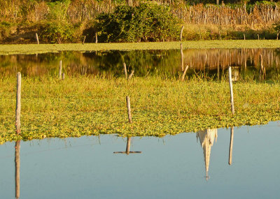 Reflexo da Cidade