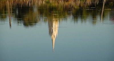 Reflexo da Cidade