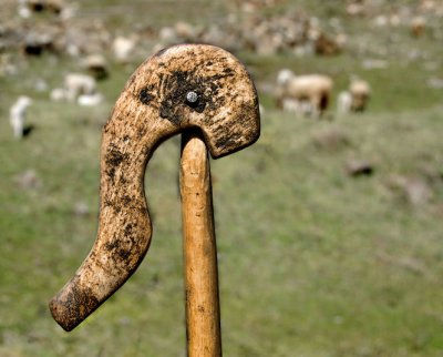 Bino's stick