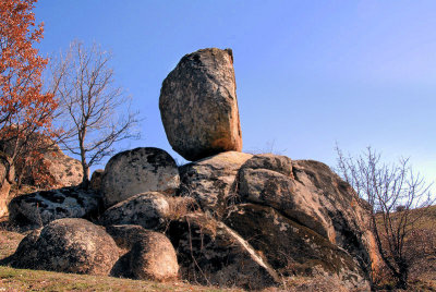 g1/39/772439/3/110831532.mmeNiZHd.jpg