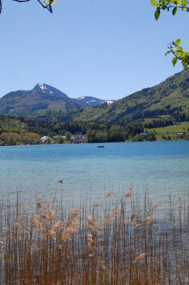 Fuschlsee