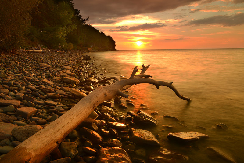 NY - Lake Ontario DriftWood Sunset.jpg