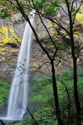 Columbia River Gorge - Lower Elowah Falls