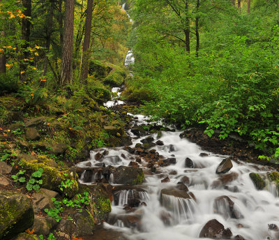 Columbia River Gorge - Wahkeena Creek