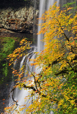 Silver Falls SP - Lower South Falls 1