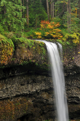 Silver Falls SP - Upper South Falls 2