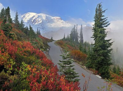 WA - Mt Rainier NP - Fall Colored Trail