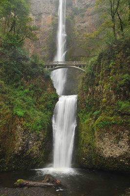 Multnomah Falls - OR