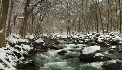 Snowy Oak Creek - AZ