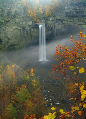 Taughanock Falls SP Foggy Overlook - NY